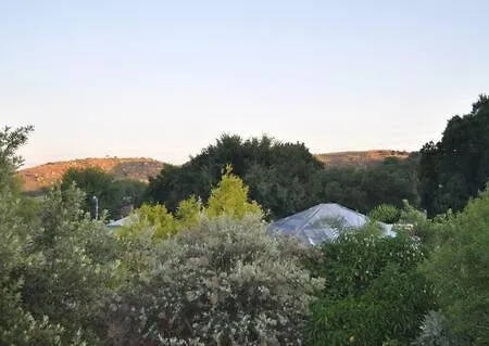 Oppikoppi In Melville Johannesburg Exterior photo